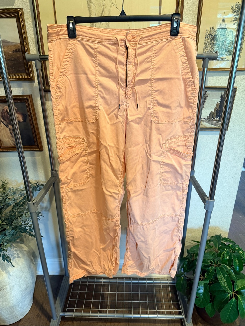 American Eagle Outfitters Peach Cargo Pants — Utility Style
